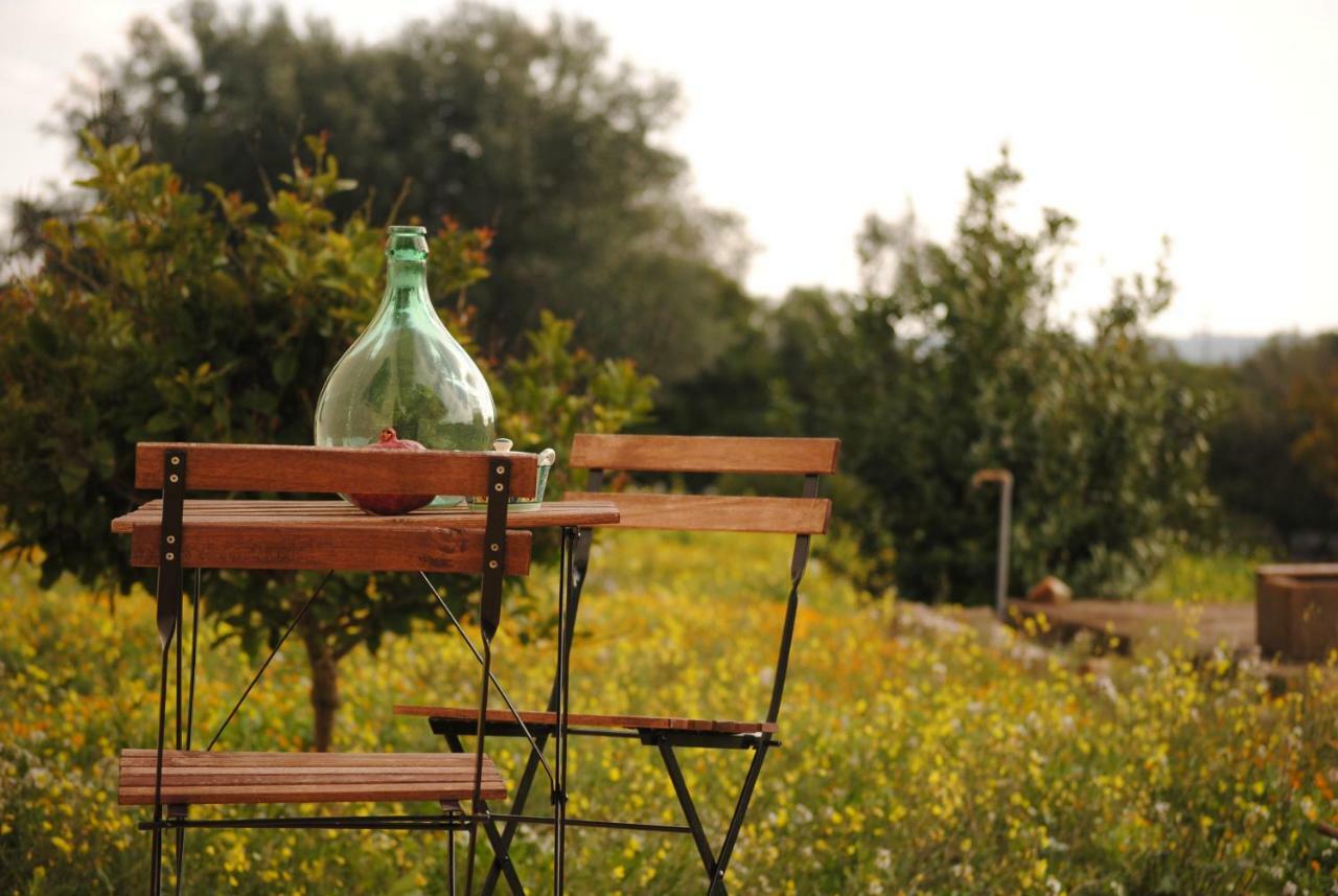 Il Giardino Di Viola Bed & Breakfast เชจลีเมสซาปิกา ภายนอก รูปภาพ