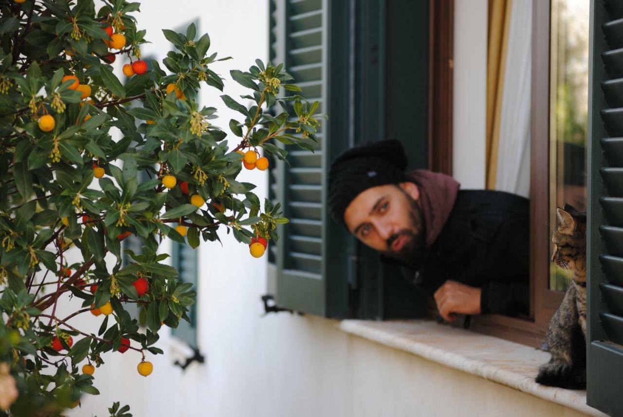 Il Giardino Di Viola Bed & Breakfast เชจลีเมสซาปิกา ภายนอก รูปภาพ