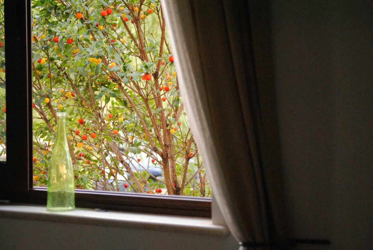 Il Giardino Di Viola Bed & Breakfast เชจลีเมสซาปิกา ภายนอก รูปภาพ